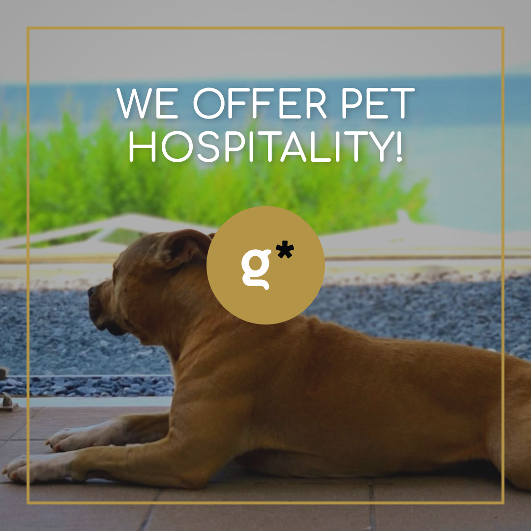 Pet friendly welcome